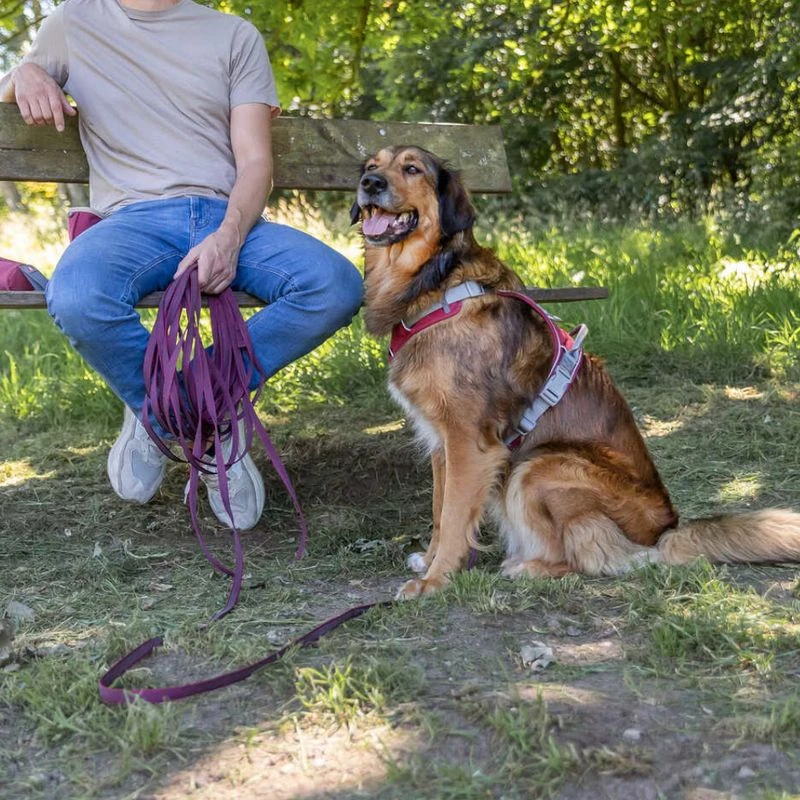 Trixie Rubber Drag Lead - Sangria Size: S-M: 15m Long/15mm Wide 7 Trixie Rubber Drag Lead - Sangria Size: S-M: 15m Long/15mm Wide - Image 7