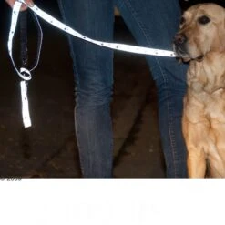 Trixie Reflective Dog Lead - Silver 200cm -Zoo Plus 61857 trixie vleinepfoten4 1