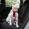 Trixie Cat Car Harness Red