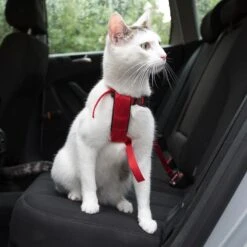 Trixie Cat Car Harness Red