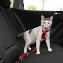 Trixie Cat Car Harness Red -Zoo Plus 66077 pla trixie autogeschirr fg 22 0