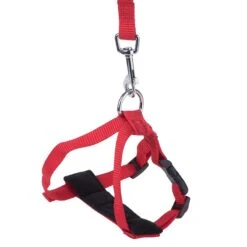 Trixie Cat Car Harness Red -Zoo Plus 66077 trixie autogeschirr fg 12 9