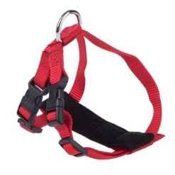 Trixie Cat Car Harness Red -Zoo Plus 66077 trixie autogeschirr fg 2 5