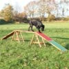 Trixie Dog Agility Bridge 456 X 30 X 64 Cm (L X W X H)