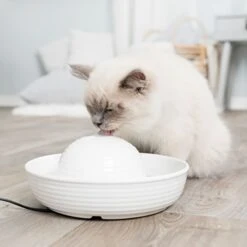 Trixie Ceramic Drinking Fountain Vital Flow Drinking Fountain Vital Flow Mini 800 Ml / Color: White -Zoo Plus 83797 trixie trinkbrunnen keramik vital flow mini hs 02 9