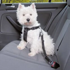 Trixie Dog Car Harness L