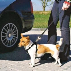 Trixie Dog Car Harness L -Zoo Plus 839 trixie auto geschirr f r hunde hs8 4