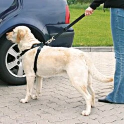 Trixie Dog Car Harness L -Zoo Plus 840 12145 trixie auto geschirr f r hunde hs10 4