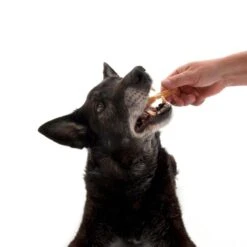 Rolled Trixie Chew Sticks 100 Pieces -Zoo Plus dsc2571 9