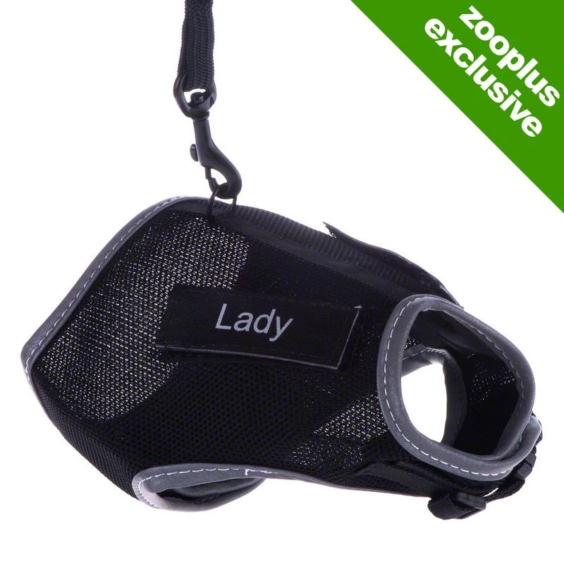 Trixie XCat XL Harness With Lead And Exclusive Stickers Black 1 Trixie XCat XL Harness With Lead And Exclusive Stickers Black