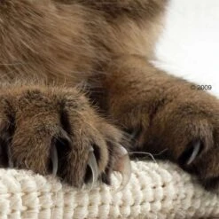 Trixie Sisal Cat Scratching Board 70 X 17 Cm -Zoo Plus katzen kratzmatte1 1